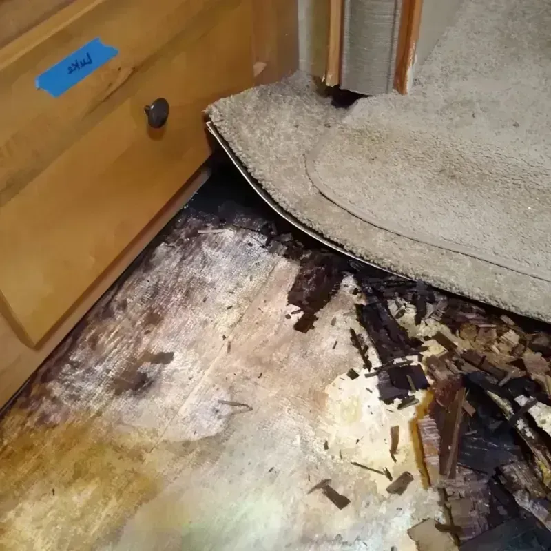 Wood Floor Water Damage in Omro, WI